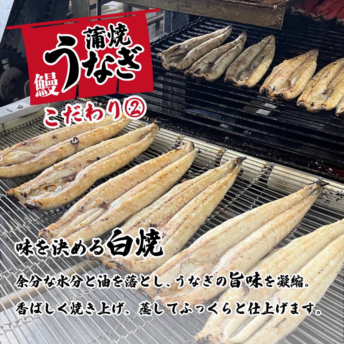 特上 国産うなぎ 蒲焼 2尾セット 【合計550g以上】 タレ・山椒付 ウナギ 鰻 うな重 ひつまぶし 人気 茨城 八千代町 ふるさと納税 冷凍 [SF049ya]