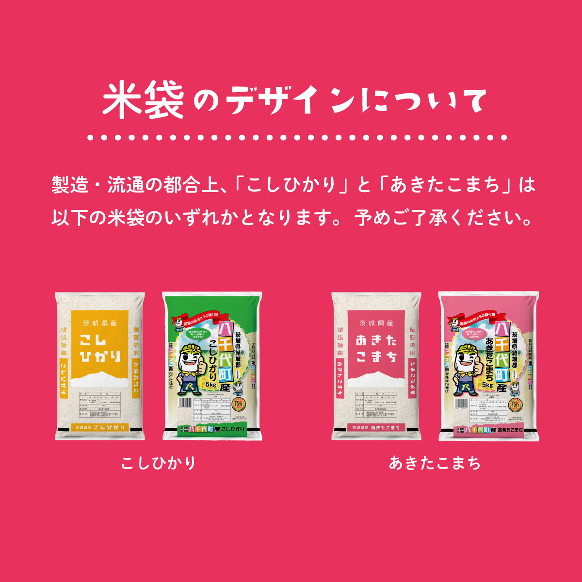 お米 食べ比べセット10kg 5kgx2袋 令和6年産 新米 10月発送 先行予約 こしひかり あきたこまち 食べ比べ 白米 精米 茨城県 八千代町 [SF011ya]