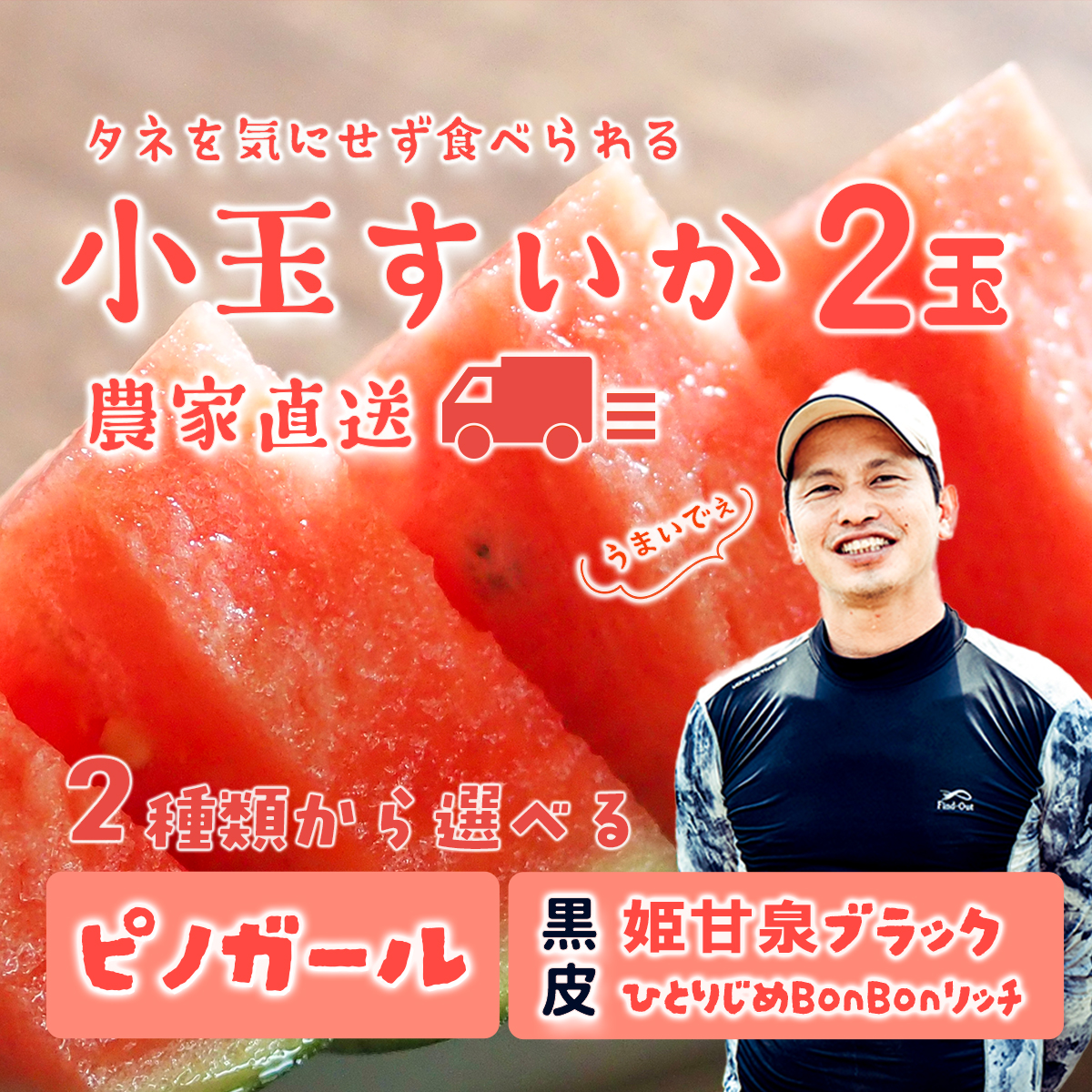【 先行予約 2026年7月中旬以降発送 】八千代町産 黒皮 小玉スイカ 姫甘泉ブラック ひとりじめBonBonリッチ 1箱（2玉入） 黒皮 すいか 西瓜 [SF004ya]