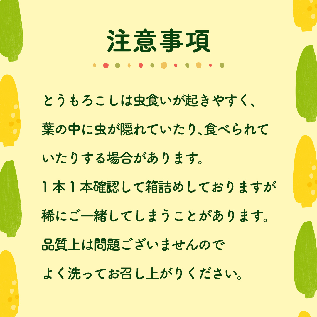 【 先行予約 2025年 6月下旬 以降発送】【 令和7年産 】【 訳あり 】 朝採り とうもろこし （ ゴールドラッシュ ） 約 6kg トウモロコシ スイートコーン コーン 野菜 産地直送 期間限定 岩田さん 昼めし旅 [AX021ya]