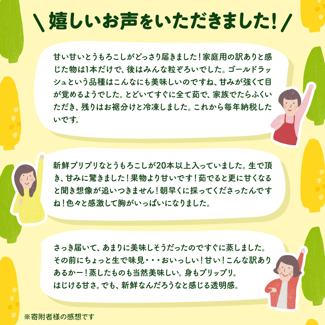 【 先行予約 2025年 6月下旬 以降発送】【 令和7年産 】【 訳あり 】 朝採り とうもろこし （ ゴールドラッシュ ） 約 6kg トウモロコシ スイートコーン コーン 野菜 産地直送 期間限定 岩田さん 昼めし旅 [AX021ya]