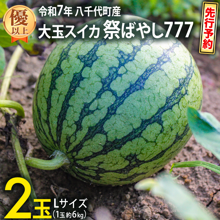 【 先行予約 2025年6月中旬 以降発送開始】 令和7年産 八千代町産 大玉 スイカ 優以上 1箱 L2玉（ 1玉 約 6kg ） 祭ばやし777 期間限定 産地直送 果物 フルーツ スイカ すいか 西瓜 甘い 夏 [AX024ya]