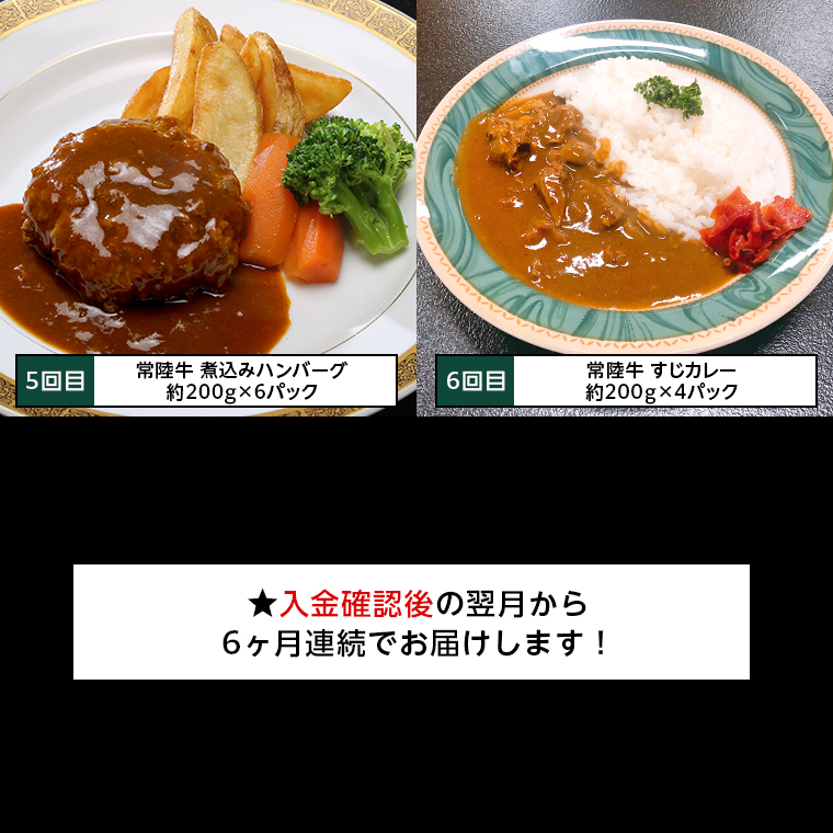 【茨城県共通返礼品】【定期便】 【6回コース】 常陸牛 食べ尽くし 定期便 （6ヶ月連続でお届け） 牛肉 黒毛和牛 国産 贅沢 ビーフシチュー ハンバーグ ローストビーフ 牛もつ ホルモン 簡単 お手軽 [AU035ya]