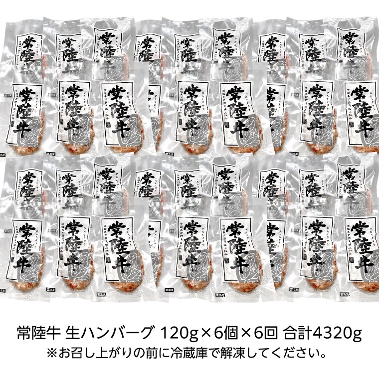 【茨城県共通返礼品】【6ヶ月定期便】 黒毛和牛 常陸牛 100% 特製 プレミアム 生ハンバーグ 120g×6個入り 合計720g 八千代町産 白菜 使用 無添加 無着色 保存料不使用 冷凍 牛 牛肉 ビーフ 生 ハンバーグ こだわり[AU056ya]
