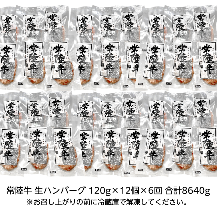 【茨城県共通返礼品】【6ヶ月定期便】 黒毛和牛 常陸牛 100% 特製 プレミアム 生ハンバーグ 120g×12個入り 合計1,440g 八千代町産 白菜 使用 無添加 無着色 保存料不使用 冷凍 牛 牛肉 ビーフ 生 ハンバーグ こだわり [AU057ya]