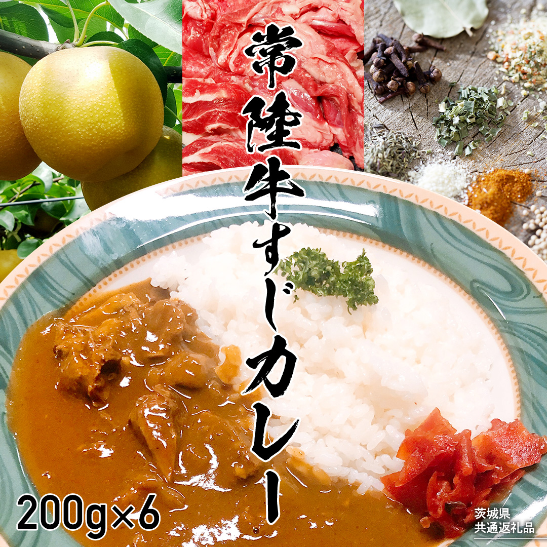 【茨城県共通返礼品】常陸牛すじカレー 200g ×6 常陸牛 カレー 牛肉 時短 ふるさと納税 10000円[AU104ya]