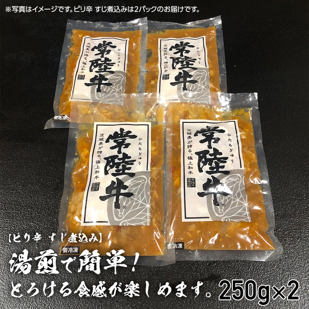 【茨城県共通返礼品】【 常陸牛 】 すじカレー 200g × 2 ・ ピリ辛 すじ煮込み 250g × 2 食べ比べ セット 常陸牛 カレー すじ煮込み 牛肉 時短 ふるさと納税 10000円 [AU105ya]