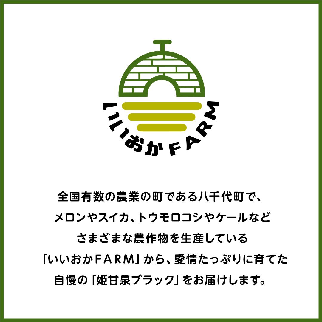 【 令和7年産 】【 先行予約 】小玉 スイカ 姫甘泉ブラック 1箱 2玉入り すいか 黒 西瓜 数量限定 甘い 夏 果物 [CG005ya]