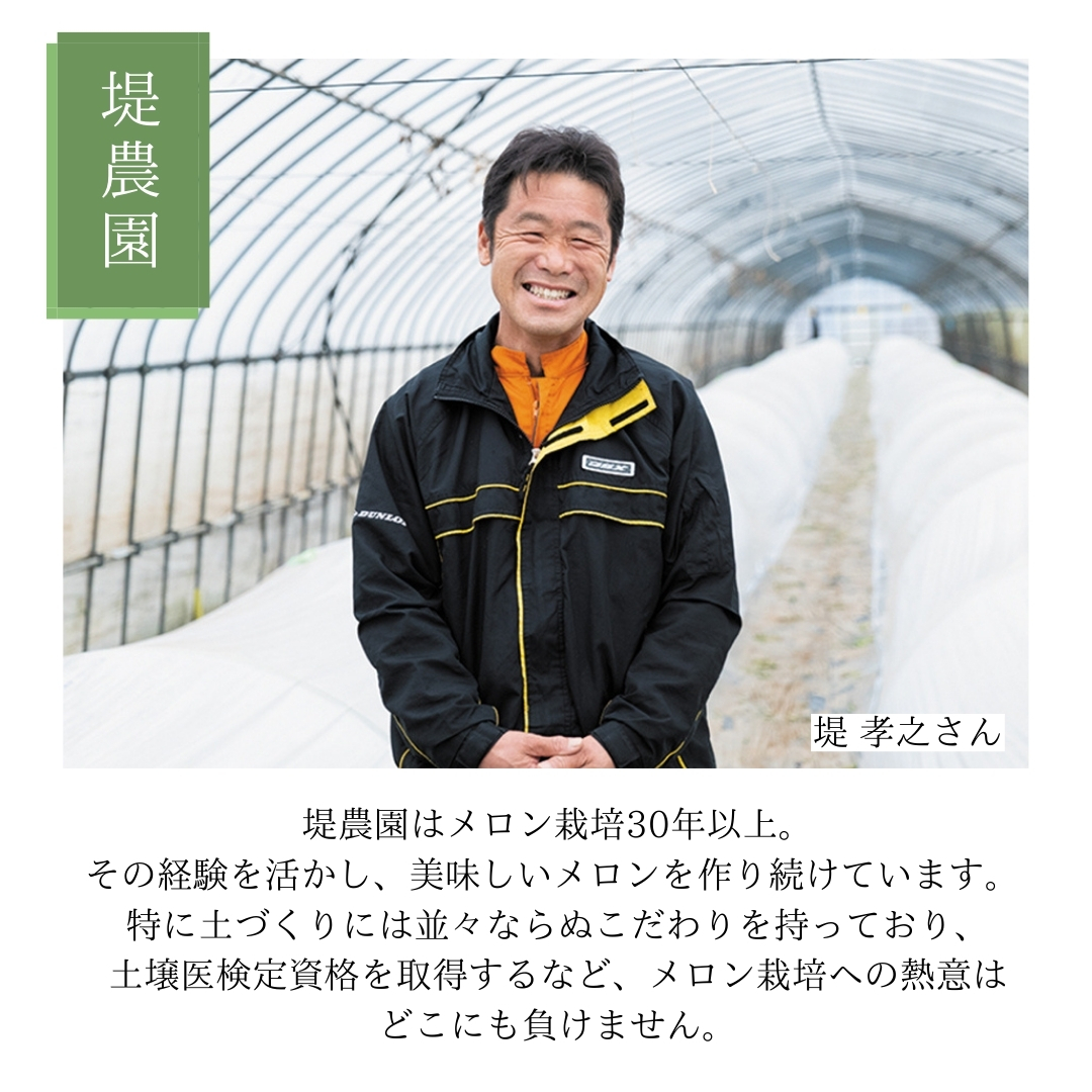 【先行予約 2026年6月中旬発送】  タカミメロン 秀品 1箱 2玉入り 期間限定 産地直送 果物 フルーツ メロン 青肉 甘い[AV010ya]