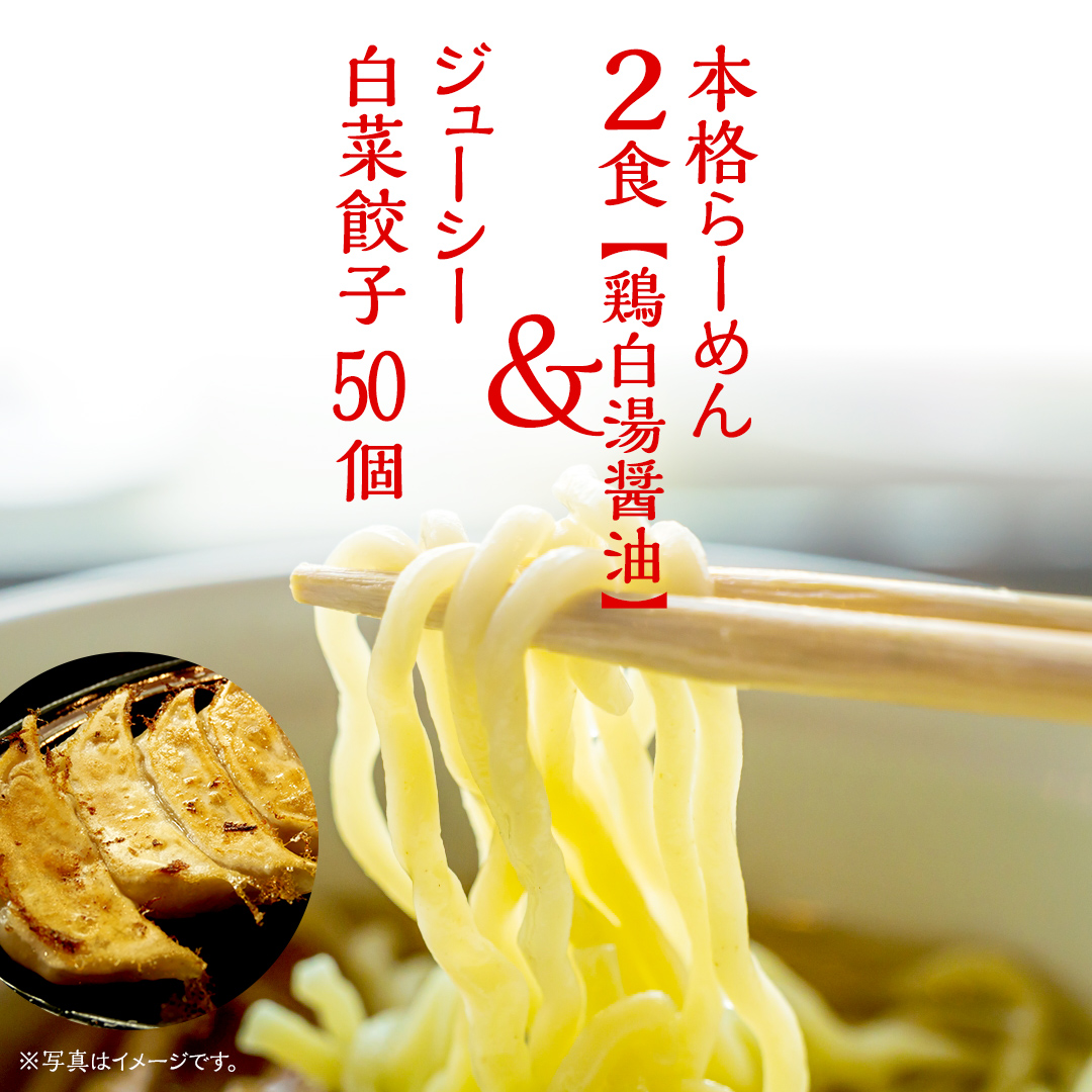 本格らーめん 2食 （ 鶏白湯醤油 ）＆ ジューシー白菜餃子 50個 ラーメン 本格 餃子 白菜 冷凍 ふるさと納税 [BF006ya]