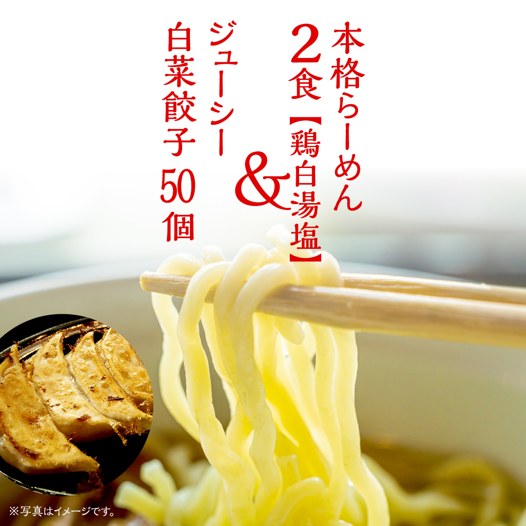 本格らーめん 2食 （ 鶏白湯塩 ）＆ ジューシー白菜餃子 50個 ラーメン 本格 餃子 白菜 冷凍 ふるさと納税 [BF007ya]