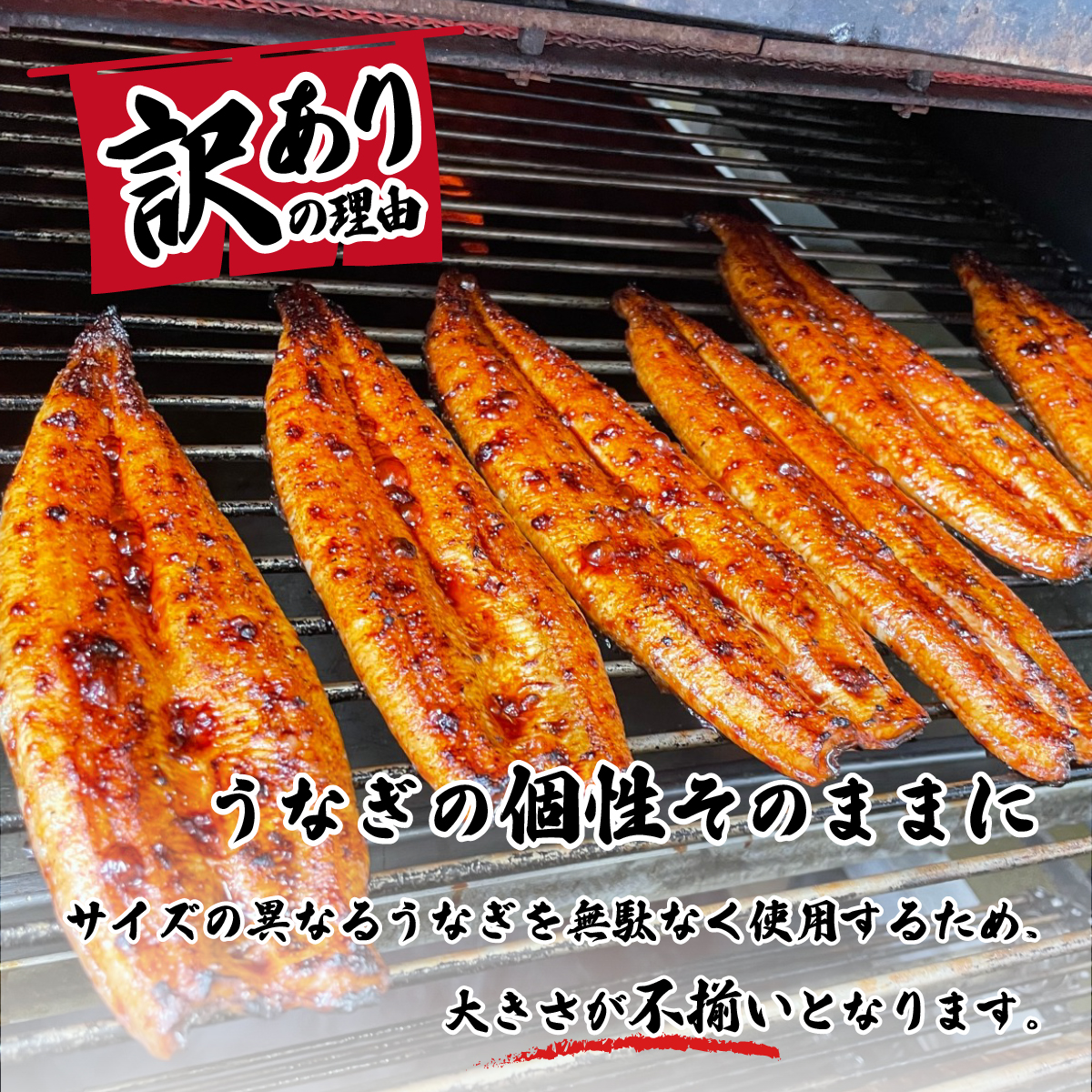 【 訳アリ 】 国産うなぎ 蒲焼き 5尾 セット ( 640g 以上) 大きさ の不揃い 山椒付き ウナギ 鰻 ふぞろい 不揃い うな重 ひつまぶし 人気 茨城 八千代町 ふるさと納税 冷凍 [SF052ya]