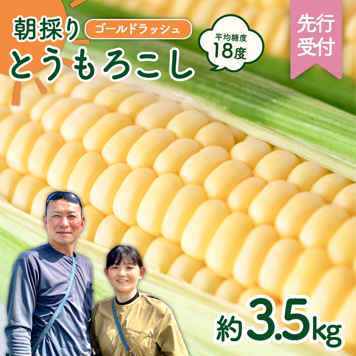 【先行予約 2026年6月中旬以降発送 】 【 令和8年産 】  朝採り とうもろこし （ ゴールドラッシュ ） 約 3.5kg トウモロコシ 朝採り 甘い 新鮮 スイートコーン コーン 野菜 極甘 岩田さん 2025 [AX058ya]