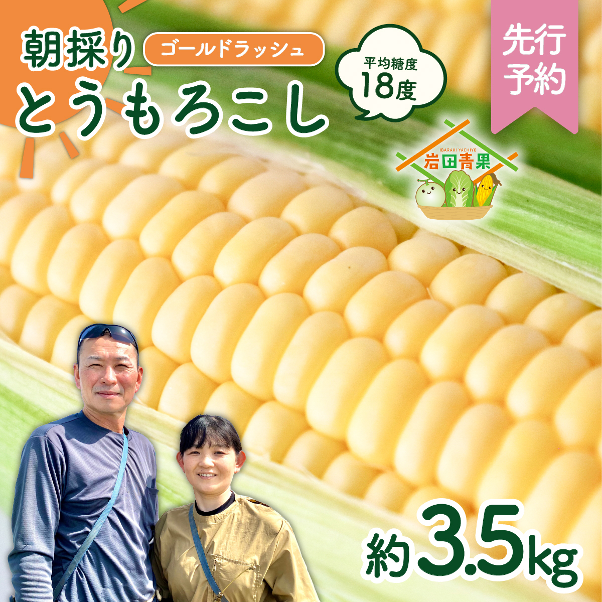 【先行予約 2026年6月中旬以降発送 】 【 令和8年産 】  朝採り とうもろこし （ ゴールドラッシュ ） 約 3.5kg トウモロコシ 朝採り 甘い 新鮮 スイートコーン コーン 野菜 極甘 岩田さん 2025 [AX058ya]