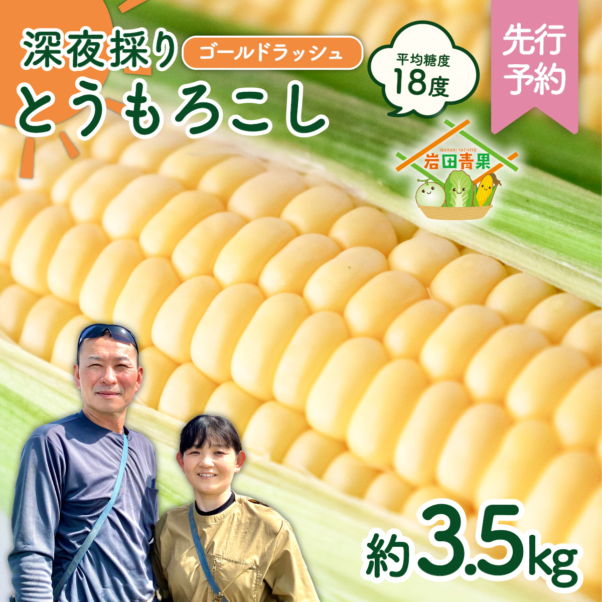 【先行予約 2026年6月中旬以降発送 】 【 令和8年産 】  深夜採り 朝出荷 とうもろこし （ ゴールドラッシュ ） 約 3.5kg トウモロコシ 深夜採り 甘い 新鮮 スイートコーン コーン 野菜 極甘 岩田さん 2026 [AX058ya]