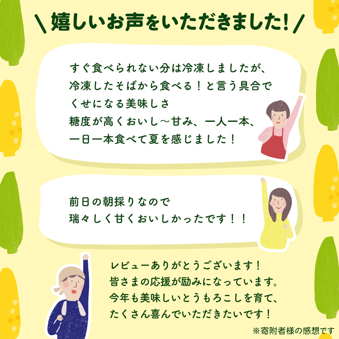 【先行予約 令和7年 6月下旬 以降発送 】 朝採り とうもろこし （ ゴールドラッシュ ） 約 3.5kg トウモロコシ 朝採り 甘い 新鮮 スイートコーン コーン 野菜 極甘 岩田さん 2025 [AX058ya]