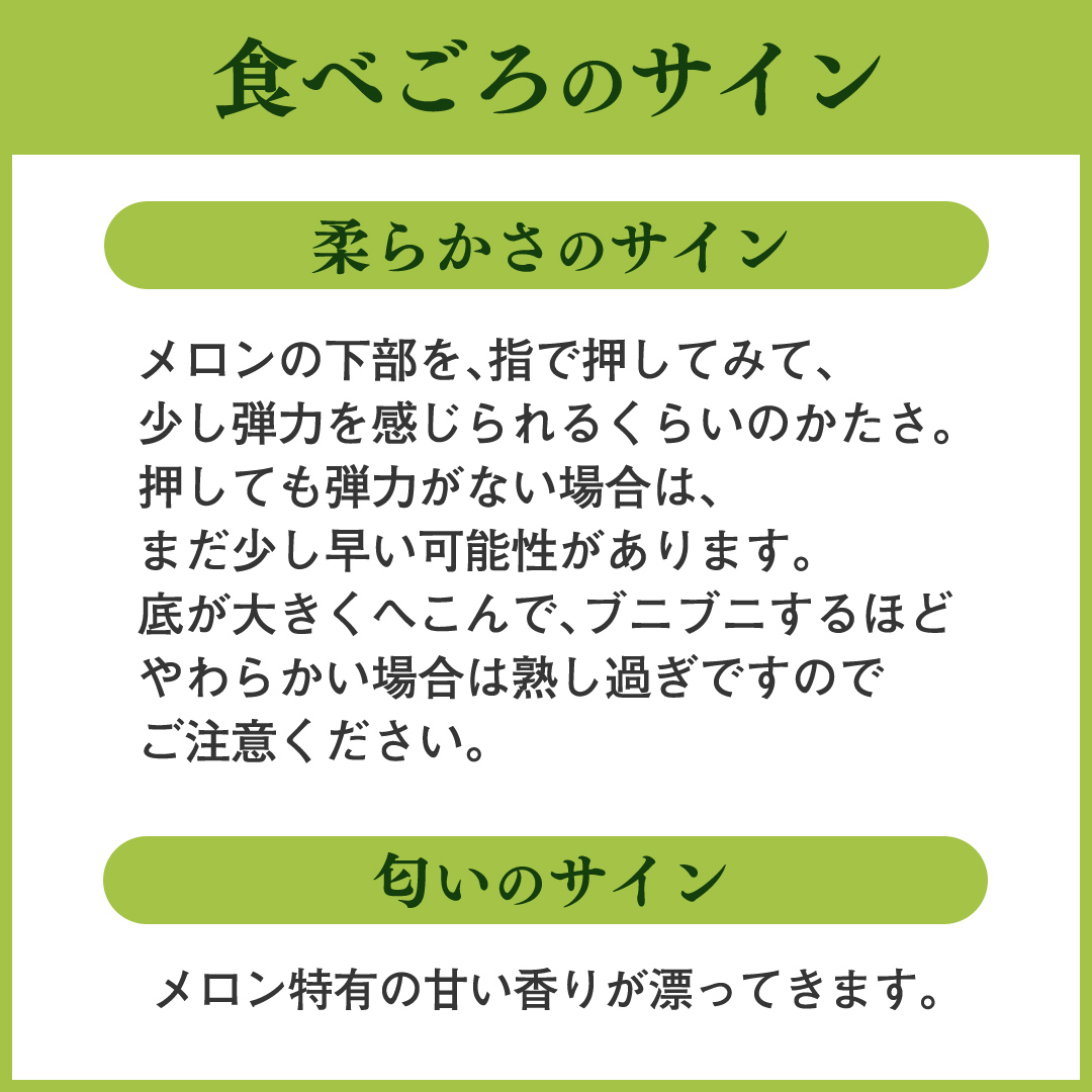 プリンスメロン ( 7～8玉 入り) 1箱 約 5kg フルーツ 果物 くだもの お取り寄せ 茨城県産 産直 直送 【 先行予約 2026年5月下旬以降発送 】【 令和8年産 】【 農家直送 】【 昭和の大衆メロン 】 [AX020ya]
