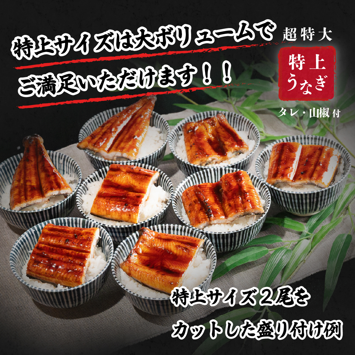 ãæ¯ã®æ¥ããåç²§ç®±ãç¹äž åœç£ããªã è²çŒ 2å°Ÿã»ãã ãåèš570g以äžã ã¿ã¬ã»å±±æ€ä» ãŠãã® é°» ããªé ã²ã€ãŸã¶ã äººæ° èšå å
«åä»£çº ãµãããšçŽçš å·å ã®ãã åç²§ç®± æ¯ã®æ¥