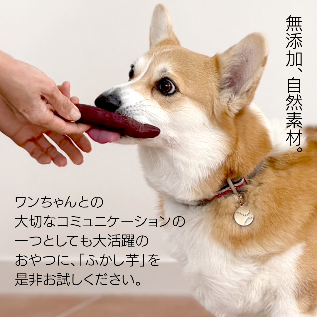 【3ヶ月定期便】動物 ペットおやつ ペット用 ふかし芋 小芋 紅はるか 芋 いも おやつ 動物 ペットフード 犬 猫 間食 ヘルシー オヤツ 2kg [AU121ya]