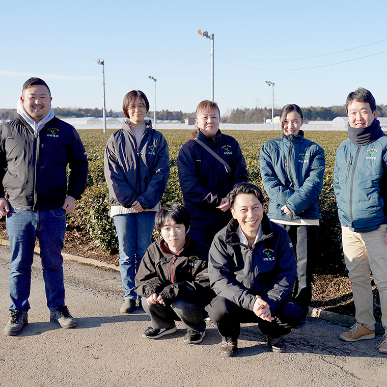 猿島茶 贈答用 茶葉 セット 伝統 輝き 真心（85g×3種） 日本茶 緑茶 詰合せ ギフト 贈り物 飲み比べ 茨城県 [AF149ya]