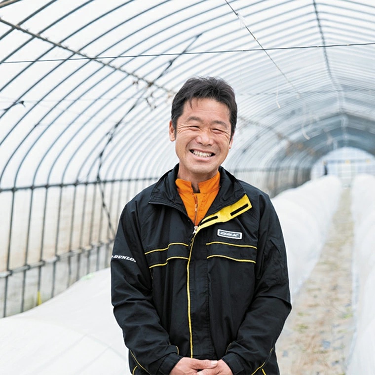 【 先行予約 2026年7月上旬発送】 八千代町産 小玉スイカ 姫甘泉 1箱 （3～6玉入り） すいか スイカ 西瓜 小玉 果物 フルーツ お取り寄せ 産地直送 茨城県 [AV002ya]