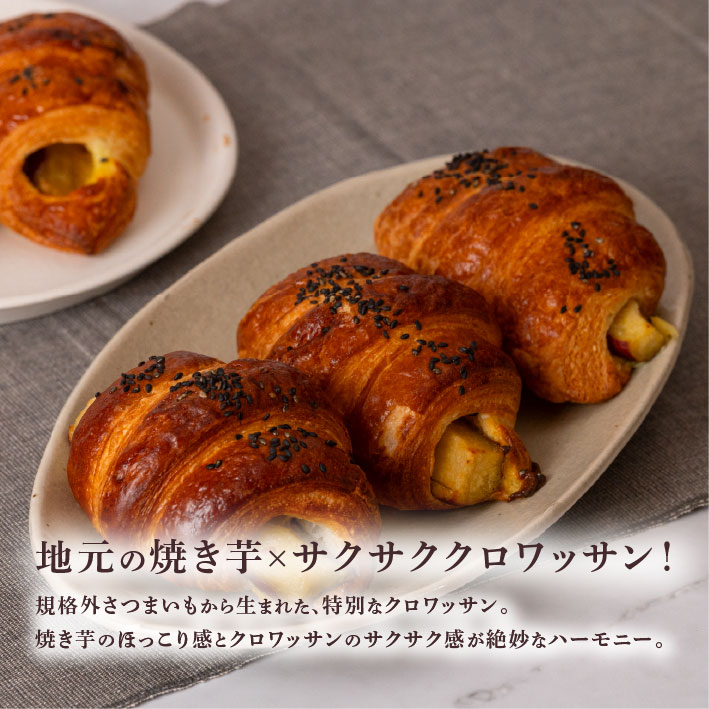 焼き芋 クロワッサン 八千代町産 紅はるか使用 さつまいも パン お菓子 スイーツ デザート 芋 いも 焼いも ふるさと納税 8000円 濃厚 [DF001ya]