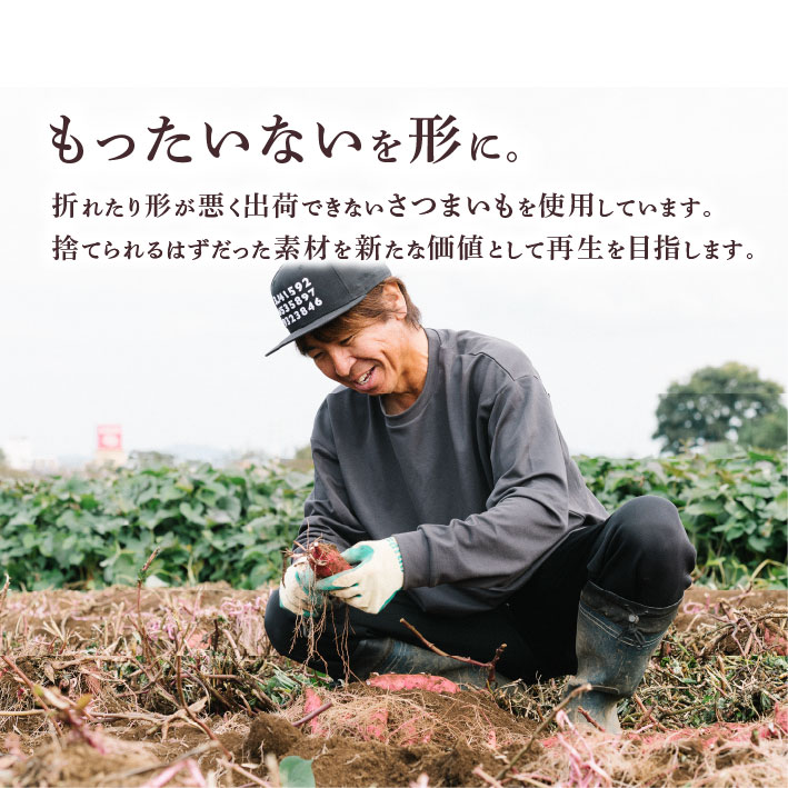 焼き芋 クロワッサン 八千代町産 紅はるか使用 さつまいも パン お菓子 スイーツ デザート 芋 いも 焼いも ふるさと納税 8000円 濃厚 [DF001ya]