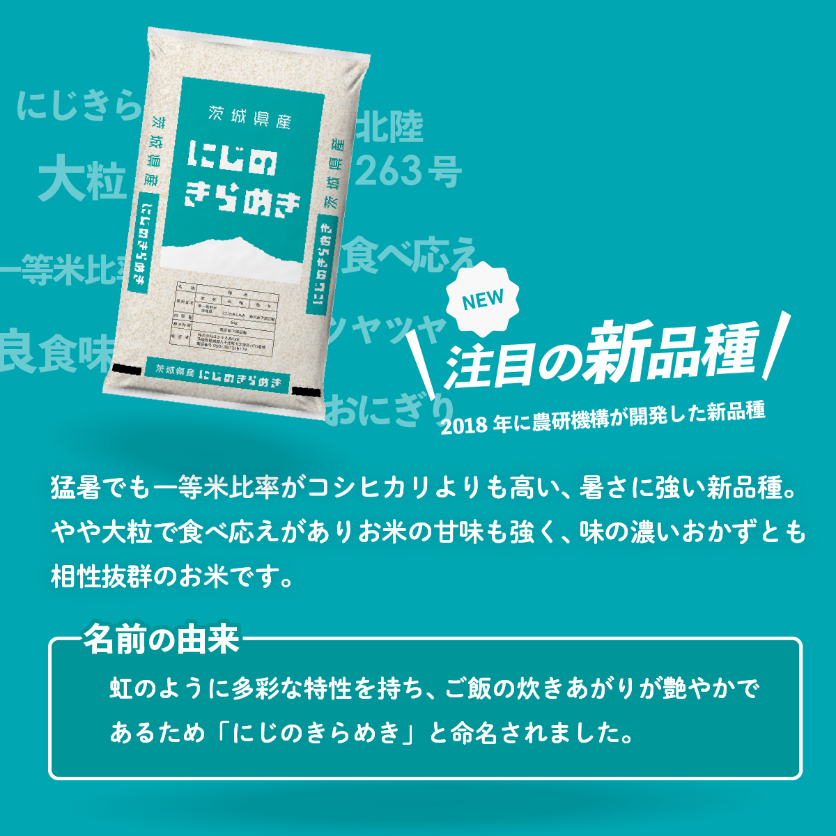【スピード発送】にじのきらめき 5kg (5kgx1袋) 令和7年産 茨城県産 にじのきらめき 白米 精米 茨城県 八千代町 お米 米 [SF573yai]