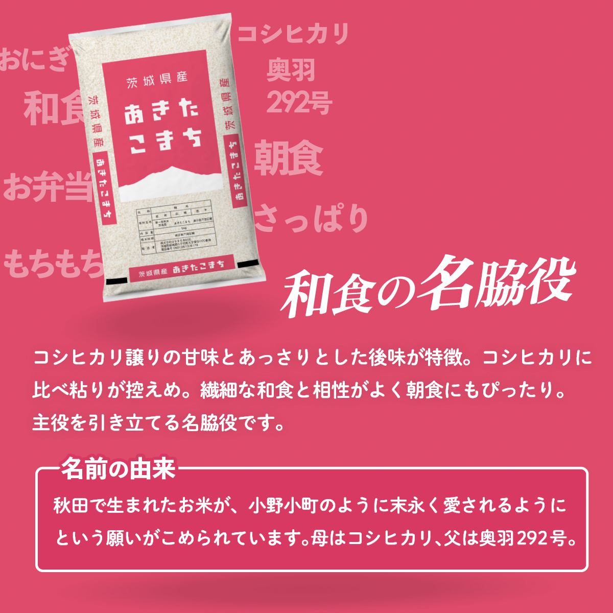 【スピード発送】食べ比べ 20kg  (5kgx4袋) 令和7年産 茨城県産 コシヒカリ あきたこまち にじのきらめき 白米 精米 茨城県 八千代町 お米 米 [SF587yai]
