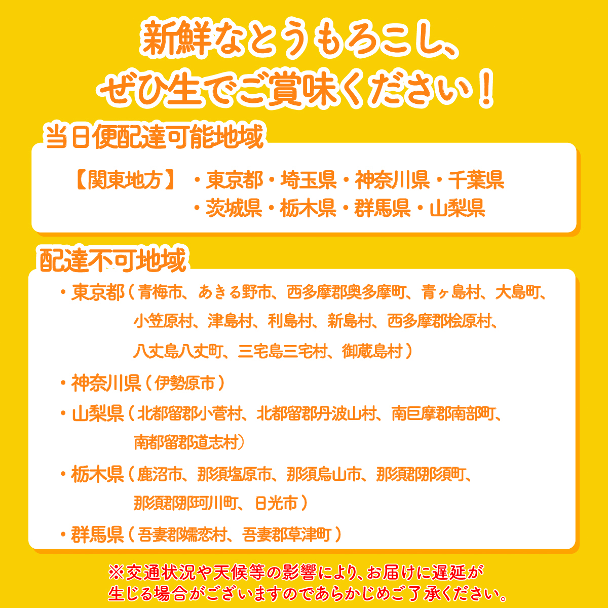 【関東+山梨県 限定当日便】【先行予約 2026年6月中旬以降発送 】 【 令和8年産 】 深夜採り 朝出荷 とうもろこし （ ゴールドラッシュ ） 約6kg トウモロコシ スイートコーン コーン 野菜 産地直送 期間限定 極甘 岩田さん 昼めし旅 [AX066ya]