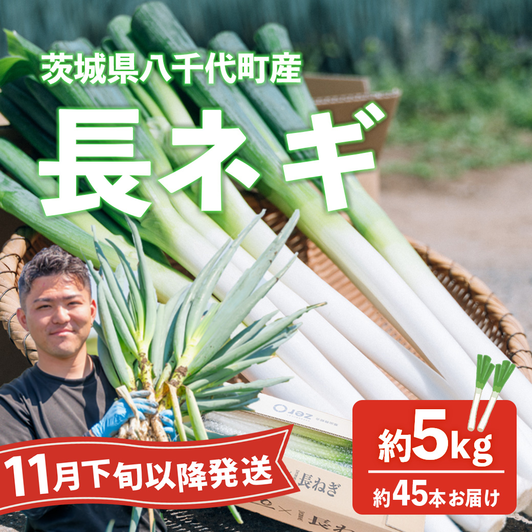【先行受付 2026年11月下旬以降発送開始】長ネギ 約5kg 約45本 茨城県産 八千代町産 野菜 農家直送 化成肥料不使用 有機肥料100% ねぎ 長ねぎ ネギ 旨味 認定農業者 9000円 [DJ004ya]