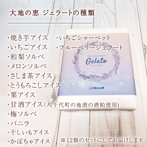 【お中元熨斗付き】八千代町 大地の恵み ジェラート 12個 セット アイス ソルベ スイーツ デザート 詰め合わせ 詰合せ ふるさと納税 10000円 特製 [AU092yac]