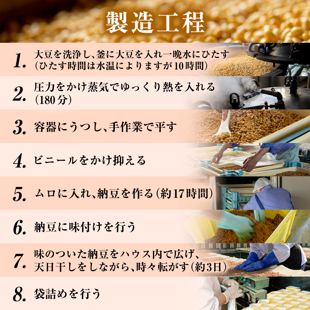 干納豆詰め合わせ 合計600g (100g×6袋) ピリ辛 七味入り 干し納豆 ほし納豆 ドライ納豆 アウトドア 非常食 山登り1962年創業 [AL008ya]