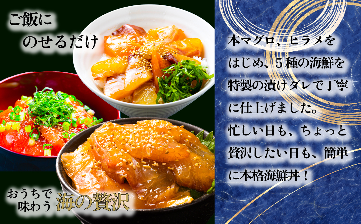 海鮮漬け丼5種セット 10パック [SZRY]  [AU137ya]