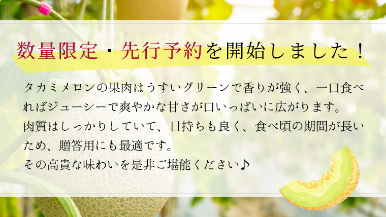 先行予約 6月中旬以降発送 】 令和6年産 タカミ メロン 1箱 秀品 3～4