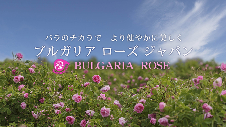 BULGARIA ROSE ダマスク ローズ ウォーター 500ml×3本[BX013ya]|JAL