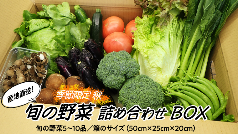 季節限定 秋 】 産地直送 ！ 旬 の 産直 野菜 セット 詰め合わせ BOX