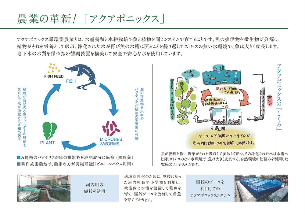 国産キャビアVoeu-Pense（茨城県共通返礼品・河内町産） ／ 熟成 国産 キャビア フレッシュ 旨味 コク チョウザメ 健康 美容 コラーゲン コンドロイチン硫酸 アミノ酸 カルノシン DHA EPA 茨城県