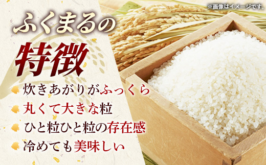 縲先眠邀ウ蜈郁。御コ育エ縲 莉、蜥8蟷エ逕」 闌ィ蝓守恁逕」 縺オ縺上∪繧 15kgシ5kgテ3陲具シ シ 譁ー邀ウ 蜈郁。悟女莉 蜈郁。御コ育エ 2026蟷エ 邀ウ 縺顔アウ 邊セ邀ウ 迚ケA邀ウ 迚ケA 迚ケA隧穂セ。 譌ィ蜻ウ 螳牙ソ 鄒主袖縺励> 闌ィ蝓守恁 莠秘悚逕コ