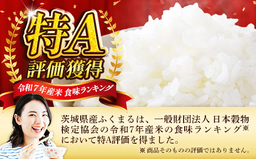 縲先眠邀ウ蜈郁。御コ育エ縲 莉、蜥8蟷エ逕」 闌ィ蝓守恁逕」 縺オ縺上∪繧 20kgシ5kgテ4陲具シ シ 譁ー邀ウ 蜈郁。悟女莉 蜈郁。御コ育エ 2026蟷エ 邀ウ 縺顔アウ 邊セ邀ウ 迚ケA邀ウ 迚ケA 迚ケA隧穂セ。 譌ィ蜻ウ 螳牙ソ 鄒主袖縺励> 闌ィ蝓守恁 莠秘悚逕コ