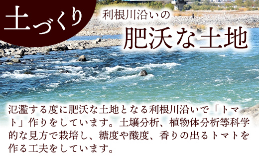 山中トマト農園がお届けする！五霞町の特選 高糖度トマト お試し 1箱（約1kg）／ 完熟 甘い 減農薬 こだわり リコピン エクセレントトマト 中玉トマト 野菜 とまと 茨城県 五霞町
