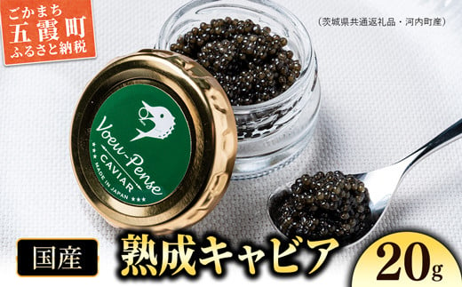 国産キャビアVoeu-Pense（茨城県共通返礼品・河内町産） ／ 熟成 国産 キャビア フレッシュ 旨味 コク チョウザメ 健康 美容 コラーゲン コンドロイチン硫酸 アミノ酸 カルノシン DHA EPA 茨城県