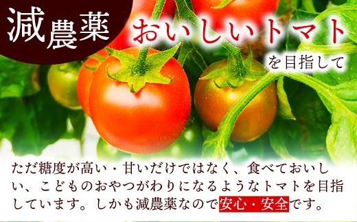 山中トマト農園がお届けする！五霞町の特選 高糖度トマト お試し 1箱（約1kg）／ 完熟 甘い 減農薬 こだわり リコピン エクセレントトマト 中玉トマト 野菜 とまと 茨城県 五霞町