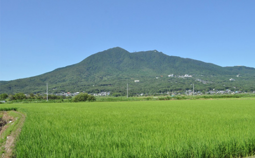 令和6年茨城県産コシヒカリ10kg（5kg×2） ／ お米 こしひかり 旨味 茨城県