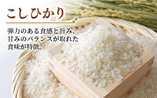 【新米発送】☆令和6年産☆『こしひかり』精米10kg(5kg×2袋) 出荷日に合わせて精米【2024年9月上旬より発送開始】コシヒカリ 人気 銘柄 茨城県産 お好み 選択 家計応援 家庭用 茨城県 五霞町【価格改定】