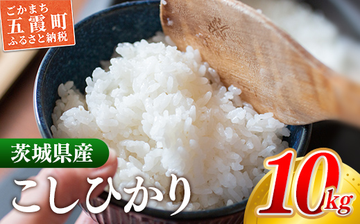 【新米発送】☆令和6年産☆『こしひかり』精米10kg(5kg×2袋) 出荷日に合わせて精米【2024年9月上旬より発送開始】コシヒカリ 人気 銘柄 茨城県産 お好み 選択 家計応援 家庭用 茨城県 五霞町【価格改定】