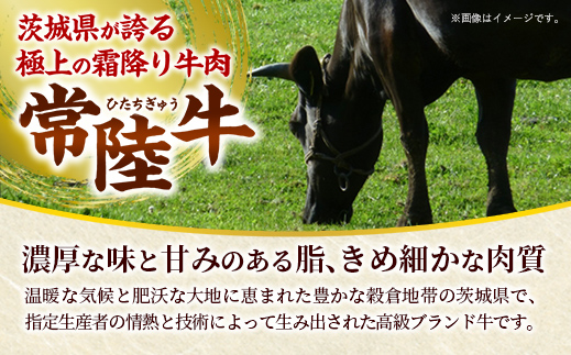[木箱入り] 焼肉ヒロミヤ厳選！常陸牛焼肉セット／ ランプ イチボ ヒレ 計400g ３種 盛り合わせ タレつき にんにく塩付き ブランド牛 フィレ ヘレ 高品質 贈り物 ギフト 茨城県 五霞町【価格改定】