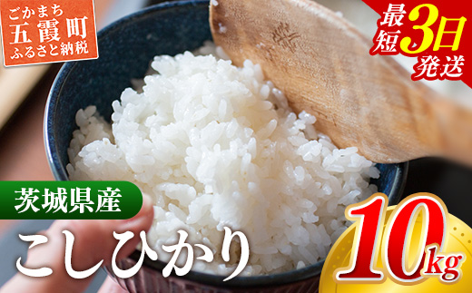 ☆令和7年産☆『こしひかり』 精米10kg(5kg×2袋) 出荷日に合わせて精米 コシヒカリ 米 お米 10kg コメ こめ 人気 銘柄 家計応援 家庭用 中山産業 茨城県産 茨城県 五霞町【価格変更AB】