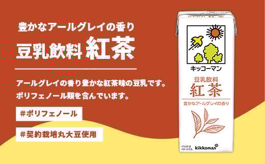 【定期便6回】【合計1000ml×18本】豆乳飲料 紅茶 1000ml ／ 飲料 キッコーマン 健康 紅茶 豆乳飲料 大豆 パック セット 豆乳 定期便 茨城県 五霞町【価格改定XA】