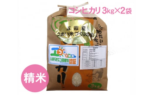五霞町産うまい米コシヒカリ（精米）6kg ／ お米 白米 こしひかり 茨城県